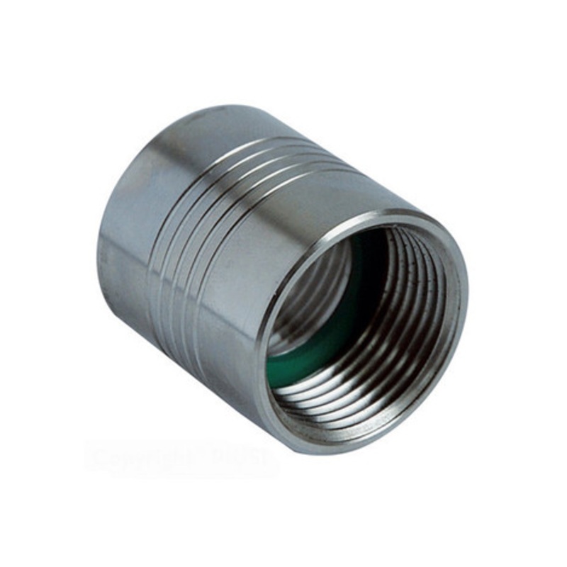 Piusi F16458000 1” NPT-F x 1” BSP-F Stainless Steel Socket Adapter (20 Pcs)