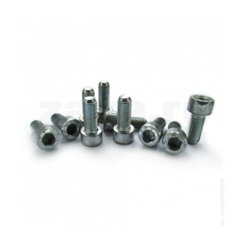 Piusi F08043000 M8 x 30 Screw (10PCS)