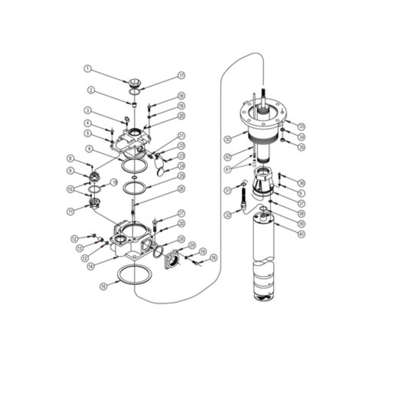 Franklin Fueling 993517 3/4” Lock Washer