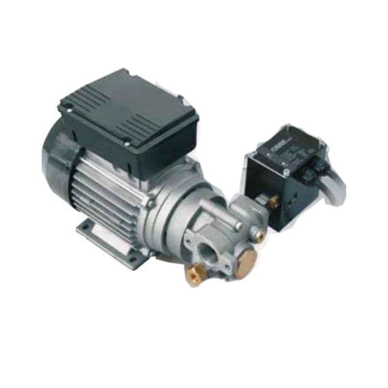 Piusi F0030201A Viscomat 200/2 M 3/4” NPT 2.4 GPM 110V/60HZ Oil Transfer Pump + Flowmat REG