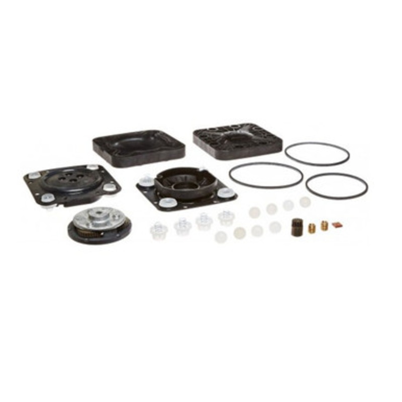 Fill-Rite 400KTH1456 Hytrel Diaphragm and Seal Kit for Rebuilding 400B Series Pumps