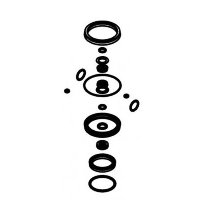 Piusi R20567000 Kit of Spare Seals for Pumps 3.5