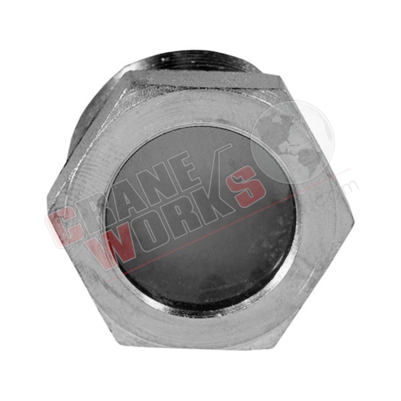 HSG100 | NEW 1 NPT SIGHT GAUGE