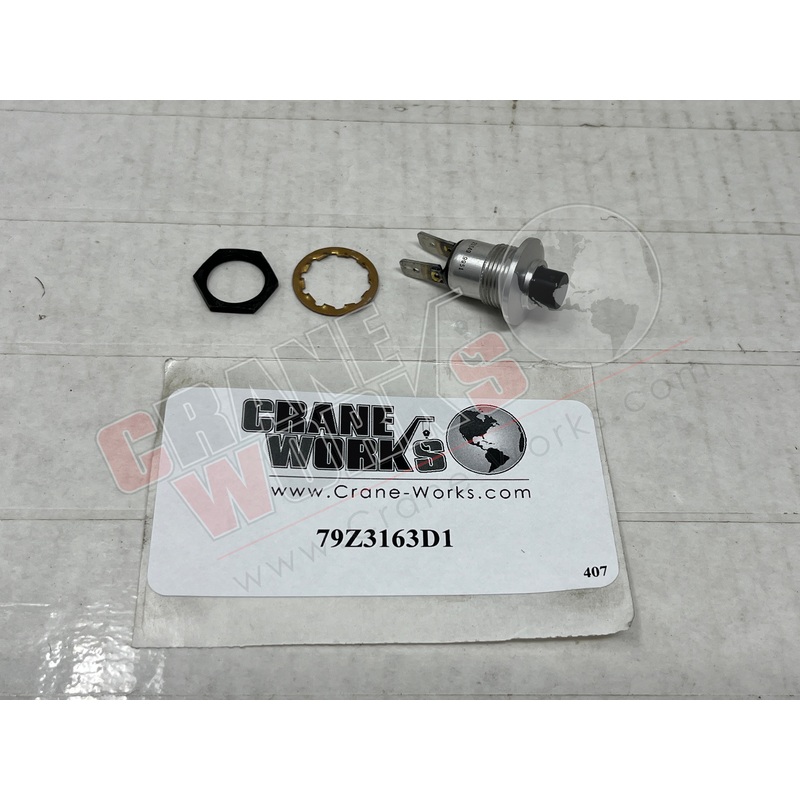 79Z3163D1 | New Switch|1.75″ x 1″ x 1″
