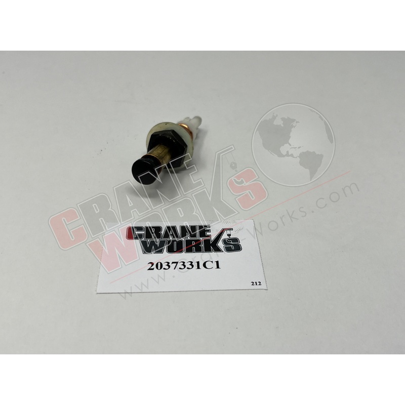 2037331C1 | New Door Jam Switch