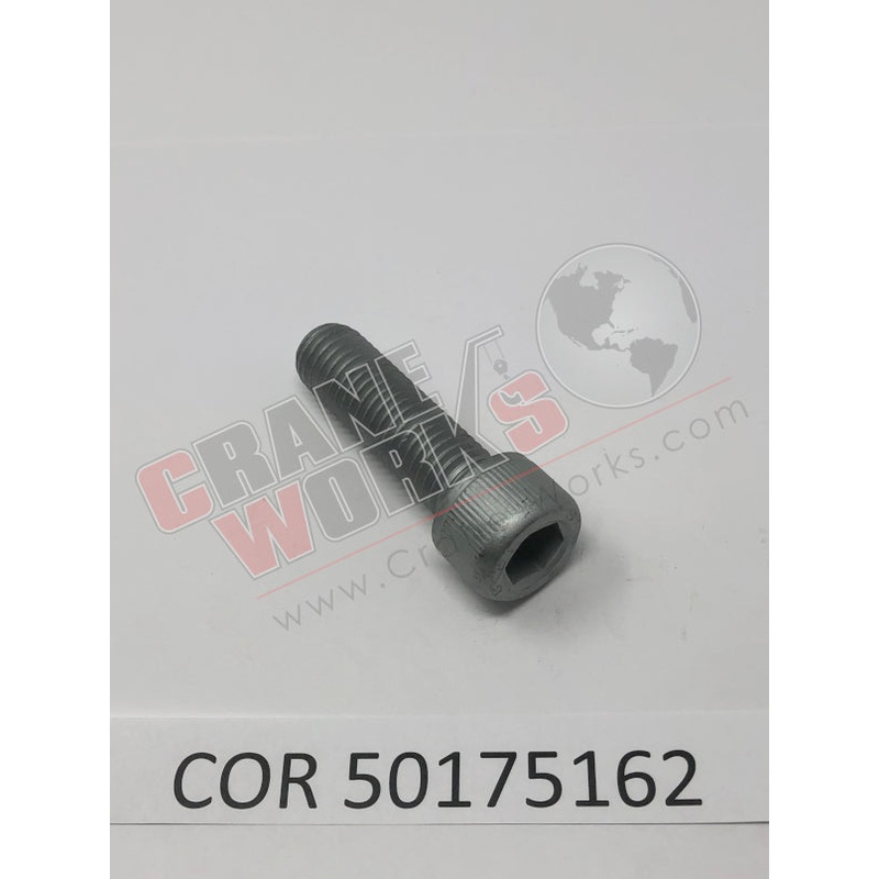 50175162 | NEW SCREW 12.9   T02