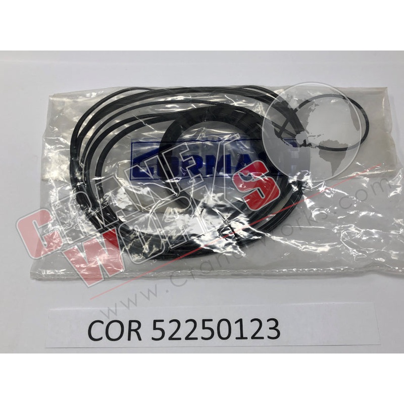 52250123 | NEW SEAL KIT HOSE REEL