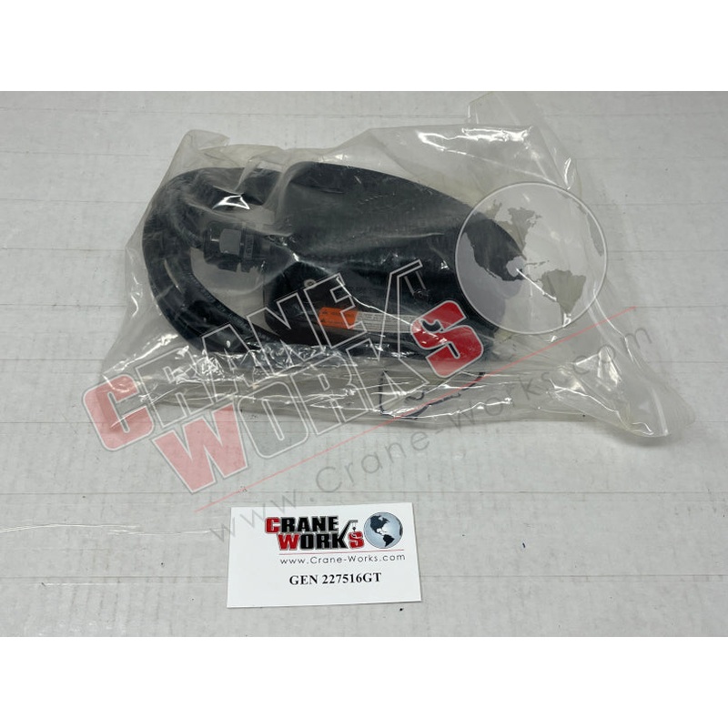 227516GT | NEW ASSEMBLY, FOOT SWITCH