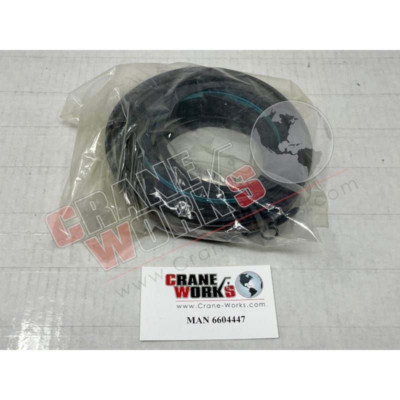 6604447 | NEW SEAL KIT; LIFT CYLINDER