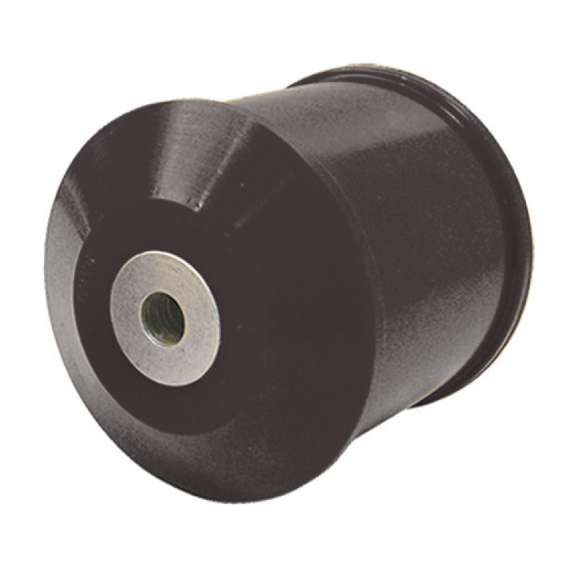 Prothane 02-06 Nissan Sentra SE-R Rear Motor Mount Insert – Black