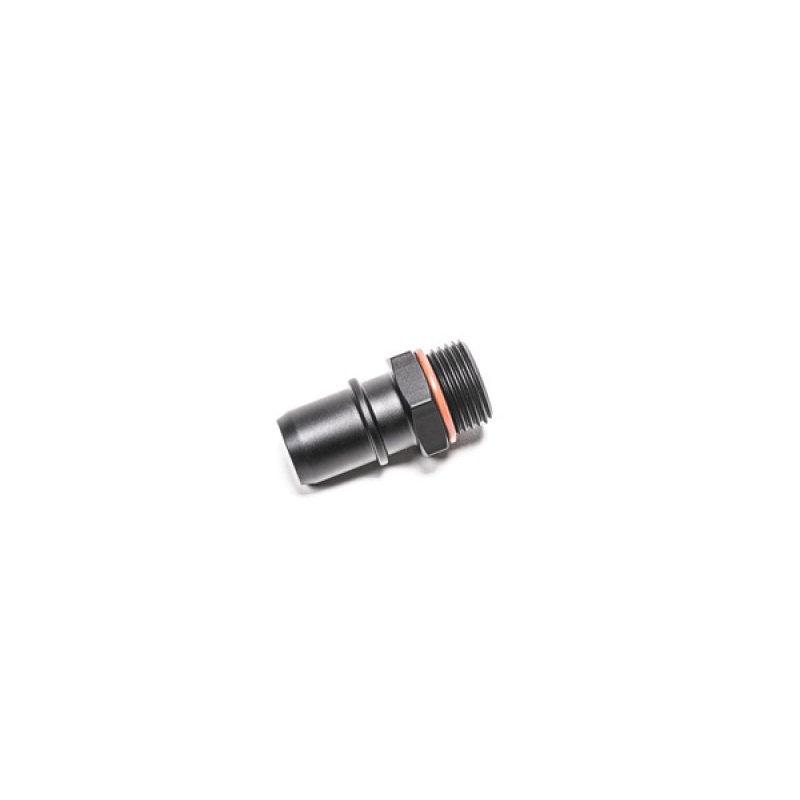 Radium Engineering 10AN ORB To .750 SAE Male