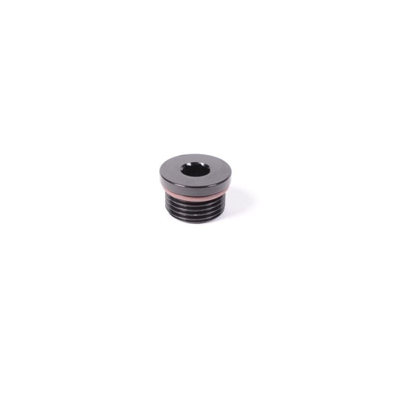 Radium Engineering 12AN ORB Plug