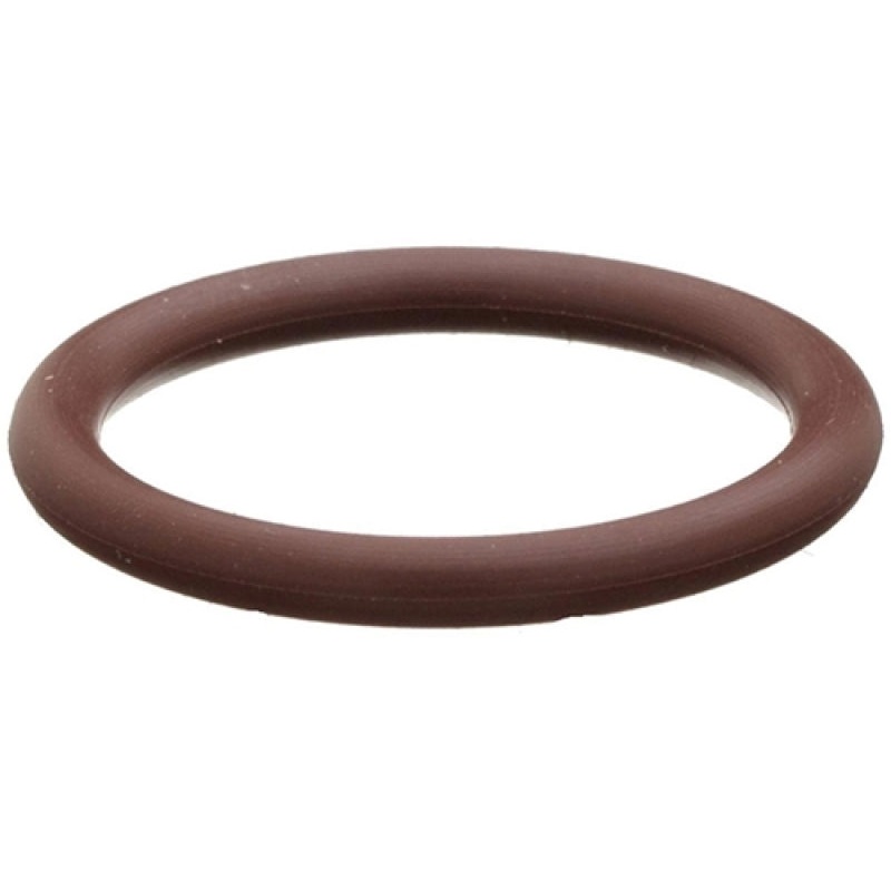 Radium Engineering O-Ring 5-Pack 6AN Viton